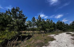 62 BR Johnson Road, Broken Bow, OK 74728