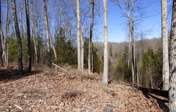 181 ST. THOMAS LANE, DANIELS, WV 25832