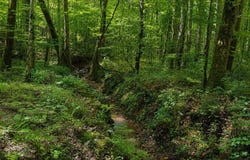 SMITH MILL ROAD lot: 2, DELTA, AL 36258