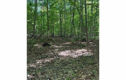Lange Road, Bridgeport, MI 48722