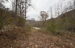 Stinking Creek Rd, LaFollette, TN 37766