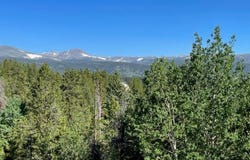 8 Valley View Dr, Nederland, CO 80466
