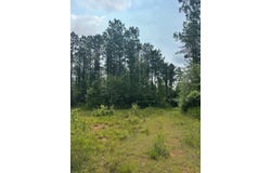 Maureen Lane, Butler, AL 36904