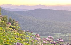 1445 Stevens Mill Road, Jay, VT 05859
