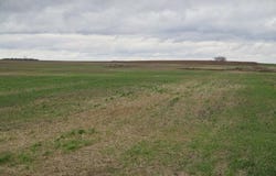 Sarles, ND 58339