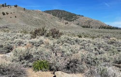 6 Hawkins Peak Road, Markleeville, CA 96120