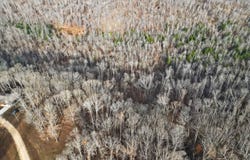 Lot 59 Rustic Valley Dr, Waverly, TN 37185