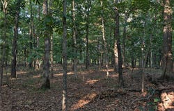1572 Via Dirupo Drive, Porto Cima, MO 65079