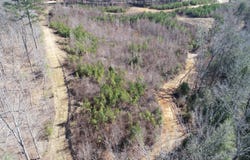 CO RD 3520, Haleyville, AL 35565