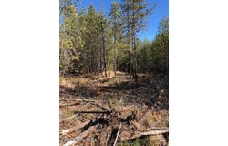 NKA Flintlock Way, Blanchard, ID 83804