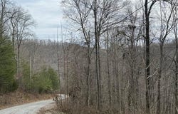 JONES RIDGE RD, Speedwell, TN 37870