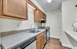 411 SKYVIEW DRIVE, BIRMINGHAM, AL 35209