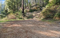 160 Starview PL, BOULDER CREEK, CA 95006