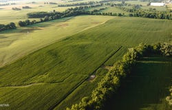 Jack Tate Road, Obion, TN 38240