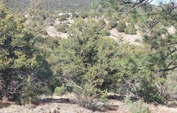 256 Sunrise Road, South Fork, CO 81154