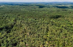 1 County Road 65, Fruithurst, AL 36262