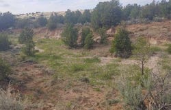 State Highway 595, Lindrith, NM 87029