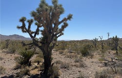 319-08-425 KINGMAN Drive, Dolan Springs, AZ 86441