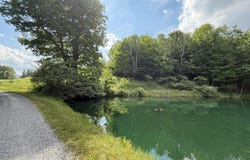 206 Sunset Pass Rd, Slatyfork, WV 26291