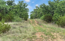 Tenbears CT, Mingus, TX 76463