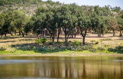 Other, Barksdale, TX 78828