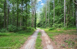 686 Welcome Valley Rd, Benton, TN 37307