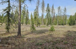 258 Nitty Gritty Ln, Priest River, ID 83856