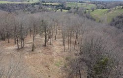Highway 123, Hasty, AR 72640