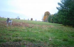 16A Pooler Road, Pittsfield, ME 04967