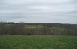 N Rays Fork Road, Sadieville, KY 40370