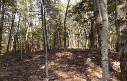 Summit Hill Rd. Lot 3, Washington, MA 01223