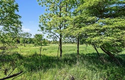 0 V/L E Charles Road, Ionia, MI 48846