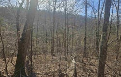 Fawn Road, Big Flat, AR 72617