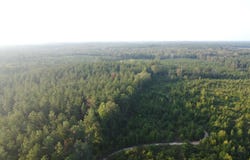HORACE WILLIAMS ROAD, Chatham, LA 71226