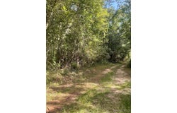 E Town Road, Tuskegee, AL 36083
