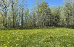 Forrest Road, Bridport, VT 05734