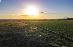 35 BUDDY Ln, Goldendale, WA 98620