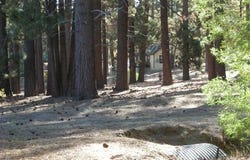 776 Knickerbocker Road, Big Bear Lake, CA 92315