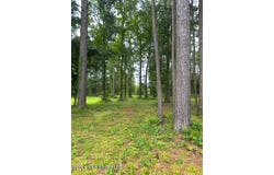 Ms-471, Brandon, MS 39047