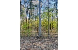 Hoover Lane, Monticello, AR 71655