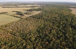 CR 2185, Klondike, TX 75448