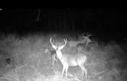 Sunset Road, Oxford, NC 27565