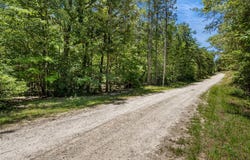 Pine Mountain Road, Tamassee, SC 29686