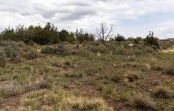 S Broadway Highway, Cortez, CO 81321
