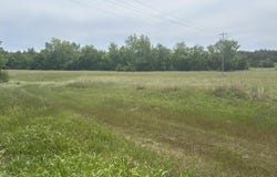 U.S. 45, Baldwyn, MS 38824