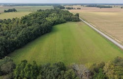 T.B.D. TOM KERRIGAN RD, Wisner, LA 71378