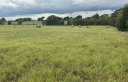 FM 2709, Eustace, TX 75124