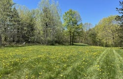 Forrest Road, Bridport, VT 05734