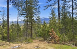 8300 E Lodge Pole Ln, Chattaroy, WA 99003
