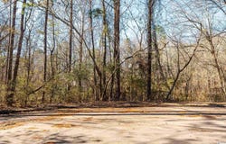 1100 VAIL CIRCLE lot: 17, BIRMINGHAM, AL 35215